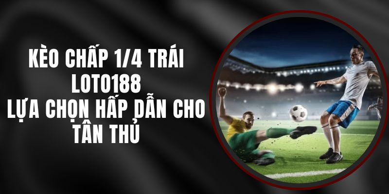 Kèo Chấp 1/4 Trái Loto188 - Lựa Chọn Hấp Dẫn Cho Tân Thủ